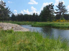 168.JPG