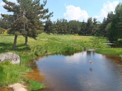 186.JPG