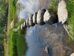206.JPG