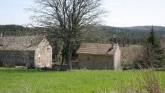 Lahondès des bois