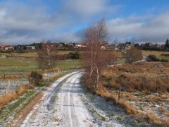 188.JPG