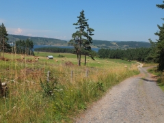 225.JPG