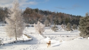Neige Rocles