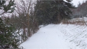 Noël 2014