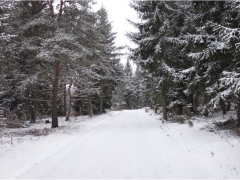 1434